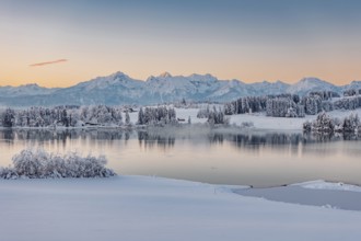 Dawn and sunrise at the wintry Forggensee in a snow-covered winter landscape in the foothills of