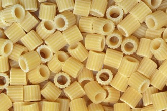 Tubetti rigati, Italian pasta variety, pasta, Italy, Europe