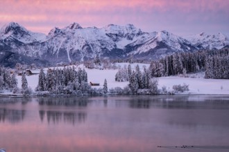 Dawn and sunrise at the wintry Forggensee in a snow-covered winter landscape in the foothills of