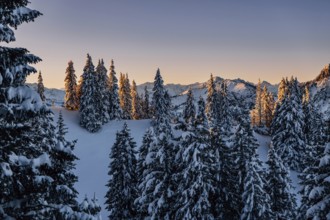 Sunrise snow tour on the Tegelberg in the Allgäu in Bavaria. Winter Wonder Land, Germany, Europe