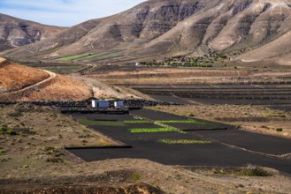 2016, Raimund Franken, Model Release:Not, Property Release: Not Yaiza, Lanzarote, ESP, Spain,