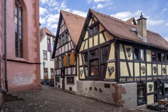 Cafe and bistro Elefantenhaus, old half-timbered house, restored by carver and sculptor Ulrich