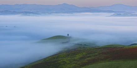 Landscape at sunrise around Volterra, Province of Pisa, Tuscany, Italy, Europe