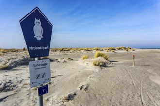 The East Frisian North Sea island of Juist in winter, marsh meadows in the west of the island,