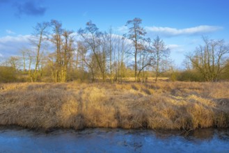 View of the vegetation along the Fangegraben and cycle path at the Steinhuder Meer, ditch, trees,