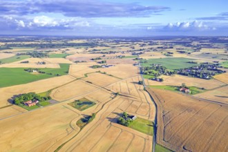 Aerial view over agricultural wheat fields, meadows, farmland and farms in Skåne län, Scania