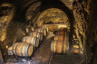 Barrels of wine in old cellar in Melfi, Potenza, Basilicata region, Italy, Southern Europe, Europe