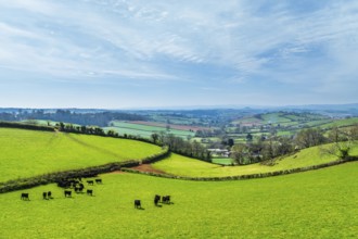 Farms and Fields over Torquay from a drone, Devon, England, United Kingdom, Europe