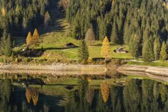 The Vordere Gosausee and the hiking trail around the lake in autumn. Two typical houses. Yellow