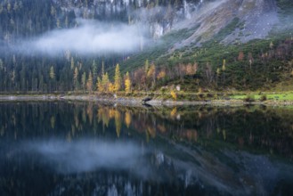 The Vordere Gosausee in autumn. Part of the path around the lake, with a cloud. Trees in autumn