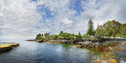 Coastal landscape with houses and trees under a serene sky, the calm sea surrounds the rocky coast,
