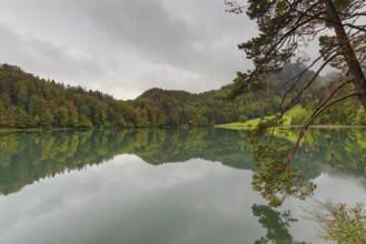 Alatsee, Ostallgäu, Allgäu, Swabia, Bavaria, Germany, Europe