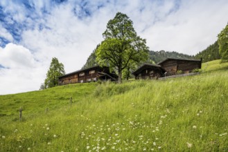 Mountain farming village, Gerstruben, Dietersbachtal, near Oberstdorf, Allgäu Alps, Allgäu,