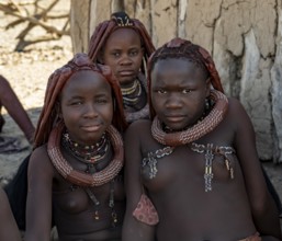 Young traditional Himba woman, near Opuwo, Kaokoveld, Kunene, Namibia, Africa