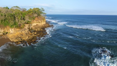 Aerial view, rainforest, sandy beach and coast with waves, Playa Cocalito, Puntarenas, Costa Rica,