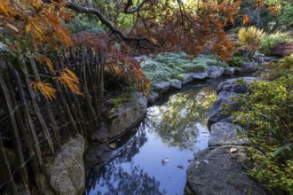 Plants, autumn colours, picket fence, stream, Japanese Garden, Zoological City Garden, Karlsruhe,
