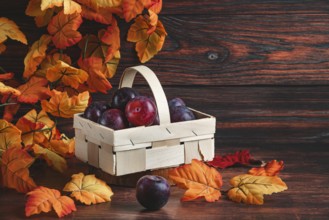 Plums in a wooden basket surrounded by orange autumn leaves