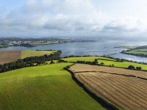 Farms and Fields over River Tamar Estuary from a drone, Cornwall, England, United Kingdom, Europe