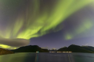 Northern Lights, (Aurora borealis) at a fjord near Skjiervoya, September 2024, Lapland, Finnmark,
