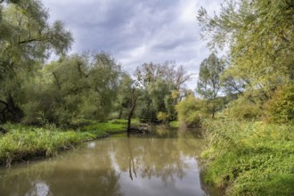 The Stockacher Aach flows through the autumn-coloured Stockacher Aachried into western Lake
