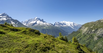 Mountain panorama with glaciated mountain peaks, Aiguille Verte with Aiguille du Midi and Mont