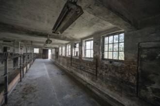 Empty cowshed of a former LPG of the GDR, Mecklenburg-Vorpommern, Germany, Europe