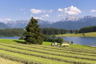 Summer landscape with a tractor on a hayfield near a lake, surrounded by forests and mountains,