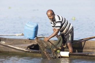 Mussel fisherman emptying his net on the Vembanad Lake, canal system of the backwaters, Kerala,