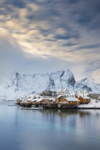 Traditional yellow rorbuer huts on the island of Sakrisøy, snow-capped mountains in the background,