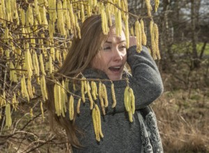 Young Caucasian woman with allergy problem stands by flowering hazel bush and sneezes in the crook