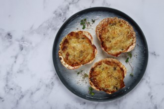 Scallop shells, stuffed, baked with cheese, in the oven, julienne with scallops