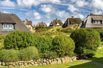Thatched roof houses near List, island of Sylt, North Friesland district, Schleswig-Holstein,