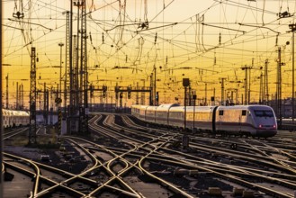 Track apron with trains, rails, points, pylons and signalling systems. Infrastructure at the main