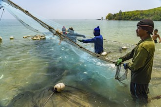 Fishermen emptying their net, Koh Libong Island in the Andaman Sea, Thailand, Asia