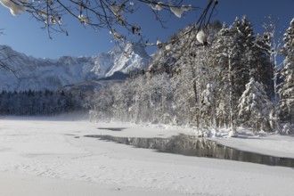 Reflection of trees on Lake Almsee which is partly frozen and snow covered. Snow on the forest with