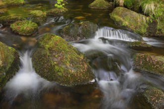 Kleine Ohe creek below Waldhaeuser village in the Bavarian Forest Nationalpark. Flowing water,
