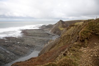 Rocky wave cut platform erosional landforms with ridges formed by eroded tilted strata at Hartland