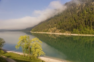 Early morning at the Sylvenstein reservoir, Reservoir in the Isarwinkel, municipality of Lenggries,