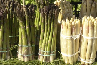 White and green asparagus, market stall in Italy on Lake Garda, Lake Garda, Italy, Europe