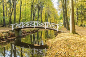 Bridge over the castle moat in autumn, park of Hermsdorf Castle, Ottendorf-Ockrilla, Saxony,