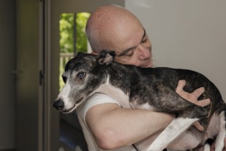 Portrait of a mature man cradling a greyhound dog in his arms at home, sharing an affectionate