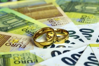 Wedding rings on euro banknotes