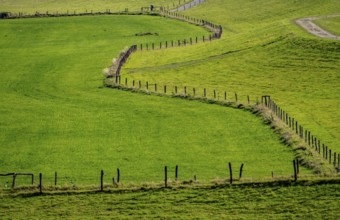 Lower Rhine landscape, dyke foreland near Grieth, North Rhine-Westphalia, Germany, Europe