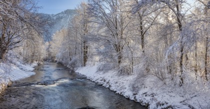 A calm river flows through a snowy winter landscape, surrounded by snow-covered trees and mountains