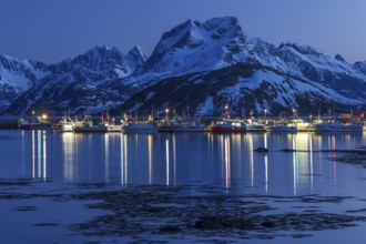 Blue hour, harbour and boats in front of steep mountains, reflection, Fredvang, Moskenesoya,