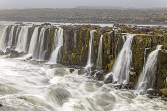 Waterfall at a river, cascades, spray, rapids, summer, foggy, Selfoss, North Iceland, Iceland,