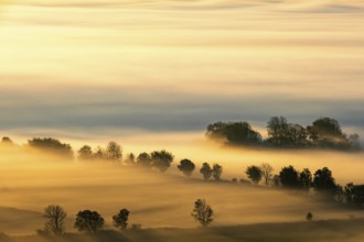 Awesome view at a rural landscape in morning fog with trees in silhouettes on the fields at autumn