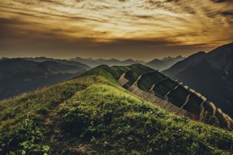 Hiking tour on the Hönig mountain in the Lechtal valley near Berwang in Tyrol, Austria, Europe