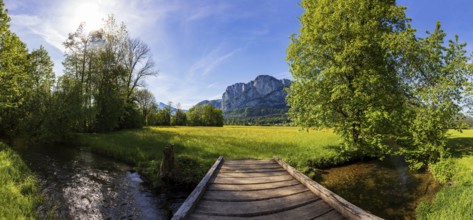 Fuschler Ache and spring flower meadow with Drachenwand, Mondseeland, Salzkammergut, Upper Austria,