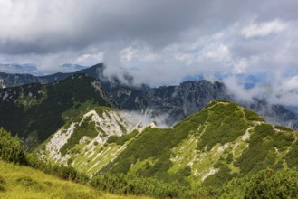 Hiking trail to the Gamsfeld, Russbach, Osterhorn group, Salzkammergut, Salzburg province, Austria,